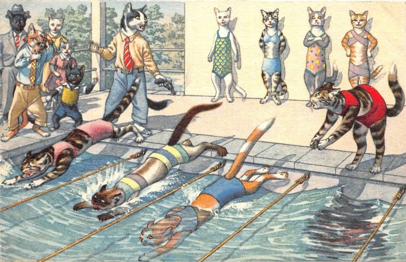 F87/ Alfred Mainzer Dressed Cat Comic Postcard c50s Swimming Race 1