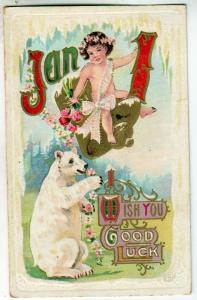 Jan 1, Polar Bears & Boy