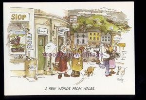 BES123 - A Few Words from Wales - Welsh Lesson - comic postcard by Besley