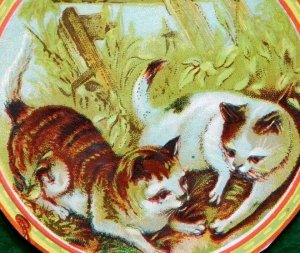 1870s-80s Lovely Cats Kittens Die Cut Scrap Trade Card F21