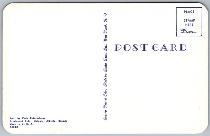 Vtg Calgary Alberta Canada Greyhound Building Street View 1950s Postcard