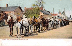 Prairie Schooner Covered Wagon Read To Start Cowboy Western 1905c postcard