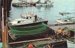 Prince Rupert BC Boats Dock 'Halibut Capital of the World' Unused Postcard D69