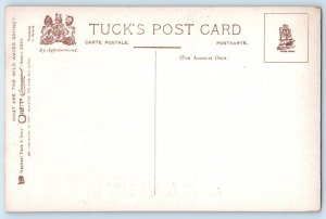 Postcard James Thomson Sun and Wild Waves Sea Scene c1920's Oilette Tuck Art