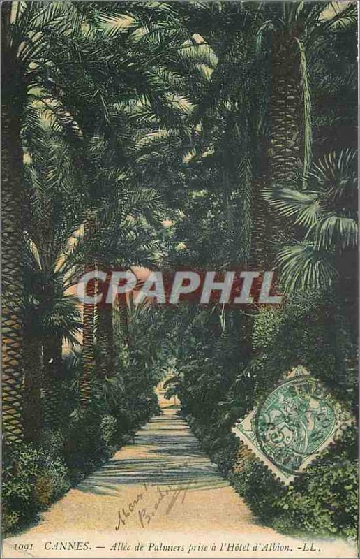 Postcard Old Cannes Allee taking Palmiers Hotel Albion