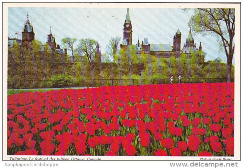 Canada Ontario Ottawa Tuliptime Le Festival Des Tulipes