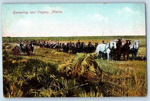 1910 Calgary Alberta Canada Vintage Postcard Harvesting Horse Carriage Field
