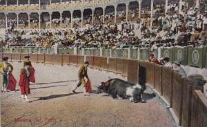 Corrida Bull Fight Muerte del Toro