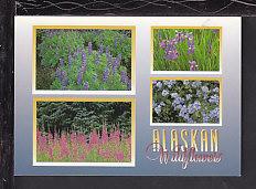 Alaska,Wildflowers Postcard BIN 