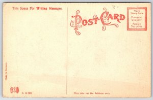 Mitchell Stone Construction Carnegie Library~Yanktonai Nakota Painted Dome c1910