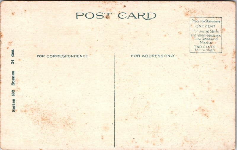 Sheep herd near Hallstead PA Postcard