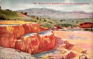 Yellowstone National Park Minerva Terraace Mammoth Hot Springs