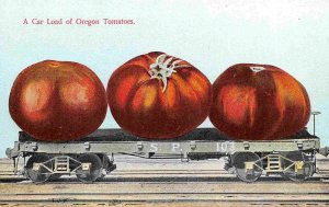 Exaggerated Oregon Tomatoes Southern Pacific Railroad Car Exaggeration postcard