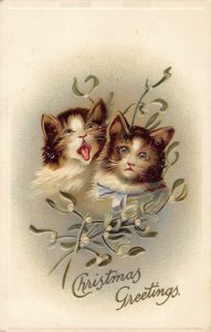 Two Christmas Cats c1910 ae108 International postcard