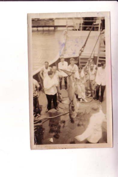 Photograph, Shark Caught by Sailors Fishing, TSS Peten During July 1934 Cruise