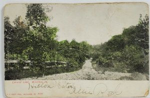 Waverly Iowa Lovers Lane 1908 udb Postcard T14