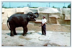 Rock Island Illinois Postcard John Flinchpaugh Asiatic Elephant Quad City c1984