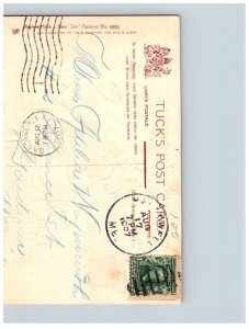 Dog  retriving a Rabbitt , Tuck's 6850