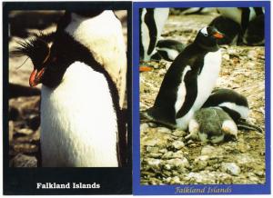 Falkland Islands Lot of 13 Postcards 1980s-1990s