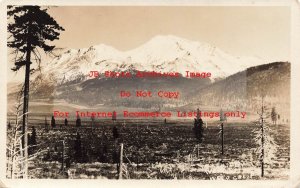 CA, Weed, California, RPPC, Mount Shasta, Photo