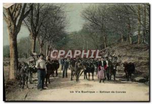 Old Postcard Folklore rustic Life Back chore of Oxen