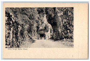 c1905 View of Echo Gorge Buller Road New Zealand Unposted Antique Postcard