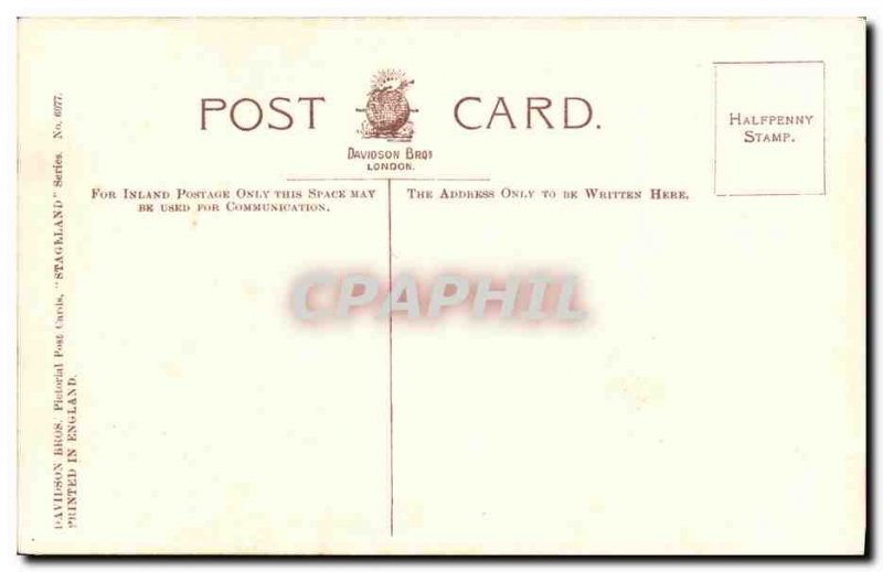 Postcard Old Man Fancy Mr Hernu Ainley