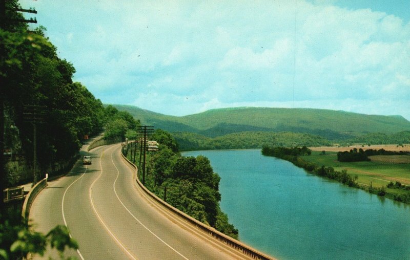 Vintage Postcard Highway Up Look up Mountain Chattanooga Tennessee Color King