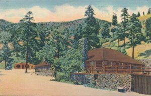 Pikes Peak Region CO Colorado Bruin Inn in North Cheyenne Canyon pm 1951 - Linen