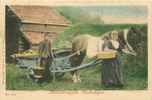 Netherlands C-1905 Rural Farmers Horse Wagon Hand Colored Postcard 21-12624