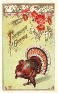 Thanksgiving Greetings, Festive Turkey, Red Flowers, Holiday, Vintage Postcard