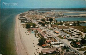 FL, Redington, North Redington Beaches, Florida, View for Air, Palm Color