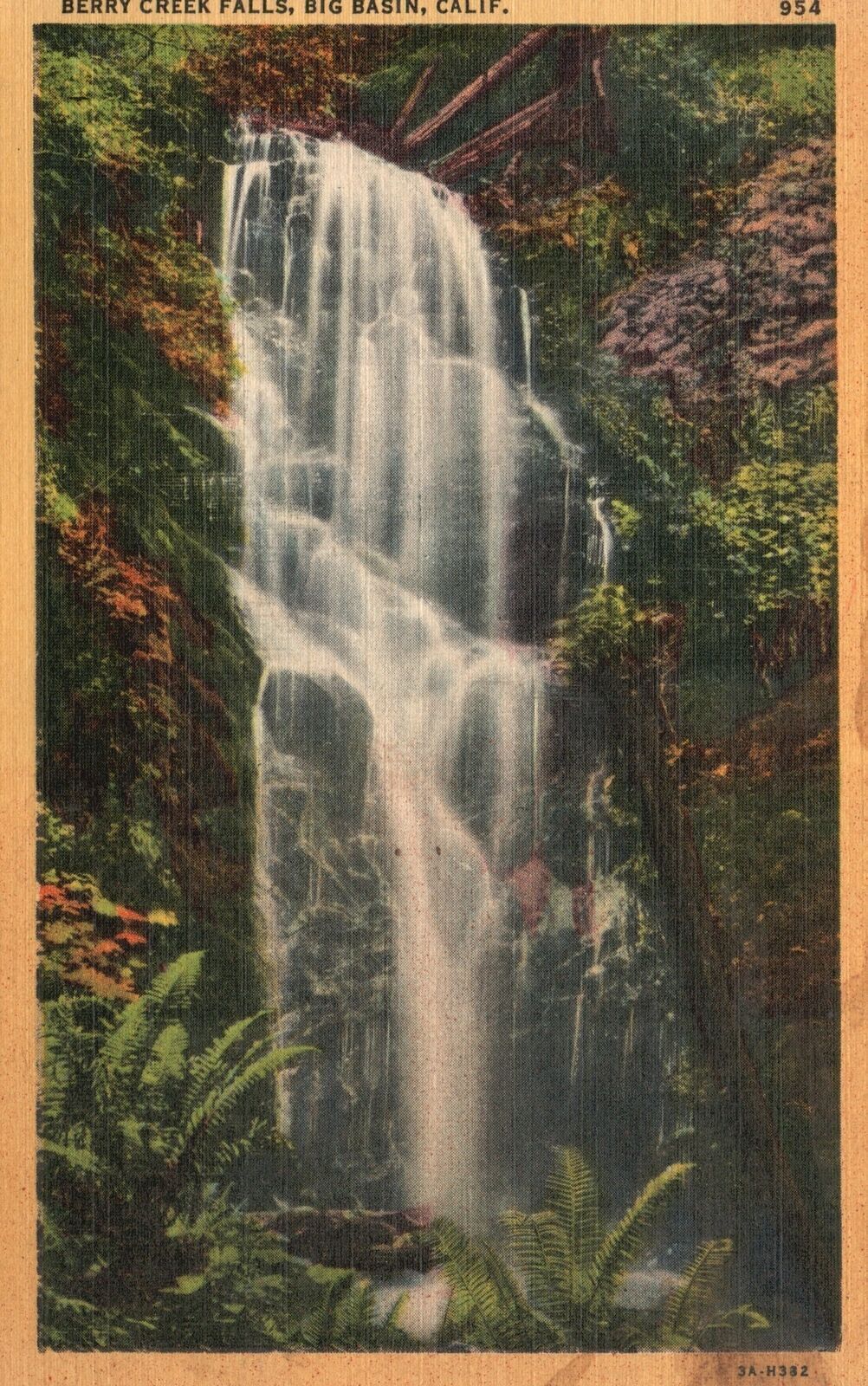 Vintage Postcard Berry Creek Falls Big Basin Thin Veiled Waterfall ...