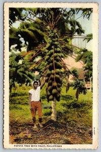 1939  Philippines  Papaya Tree with Fruit Postcard