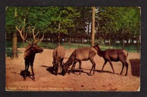 MI Deer Park Belle Isle DETROIT MICHIGAN Postcard PC