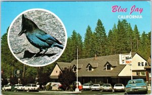 BLUE JAY, CA California ~ STREET SCENE Bank, Wiklund Realty c1960s Cars Postcard