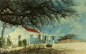 aruba, N.A., Cunucu House with Divi-Divi Wind Tree, Postcard