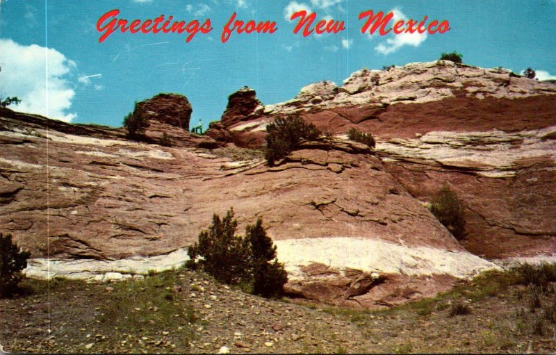 New Mexico Greetings Showing Carved Rock Stairway To Indian Look-Out Point At...