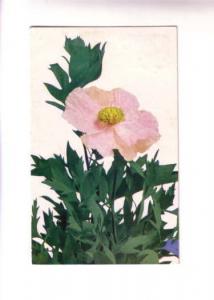 MacFarlane Floral, Pink Flower, Used 1907Nova Scotia Split Ring Cancel