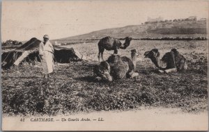 Tunisia Carthage Un Gourbi Arabe Vintage Postcard C156