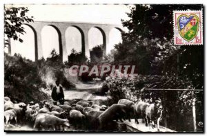 Old Postcard Neris les Bains Allier Viaduct Perassier Shepherd and his sheep