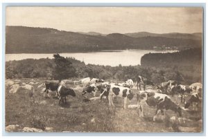 1906 Cow Herd Lake Town View Munsonville NH RPPC Photo Posted Postcard 