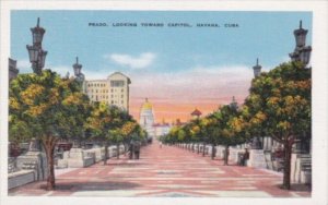 Cuba Havana Prado Looking Toward Capitol