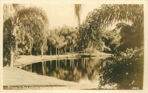 Florida Sarasota Jungle Gardens 2-I-3 RPPC Photo Postcard 21-14546