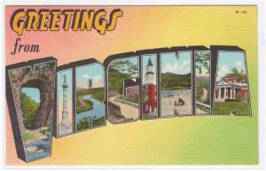 Greetings from Virginia Large Letter linen postcard