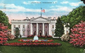 Vintage Postcard 1930's View of The US State White House Washington D.C.