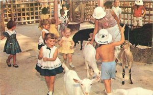 Missouri St Louis Children's zoo Forest Park 1960s Colorpicture Postcard 22-4895