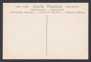 FRANCE, Postcard, Versailles, Fountain Neptune