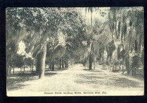 Crescent City, Florida/FL Postcard, Summit Street Looking North, 1920!