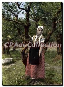 Postcard Provence Modern Girl In Costume Comtadine among olive trees